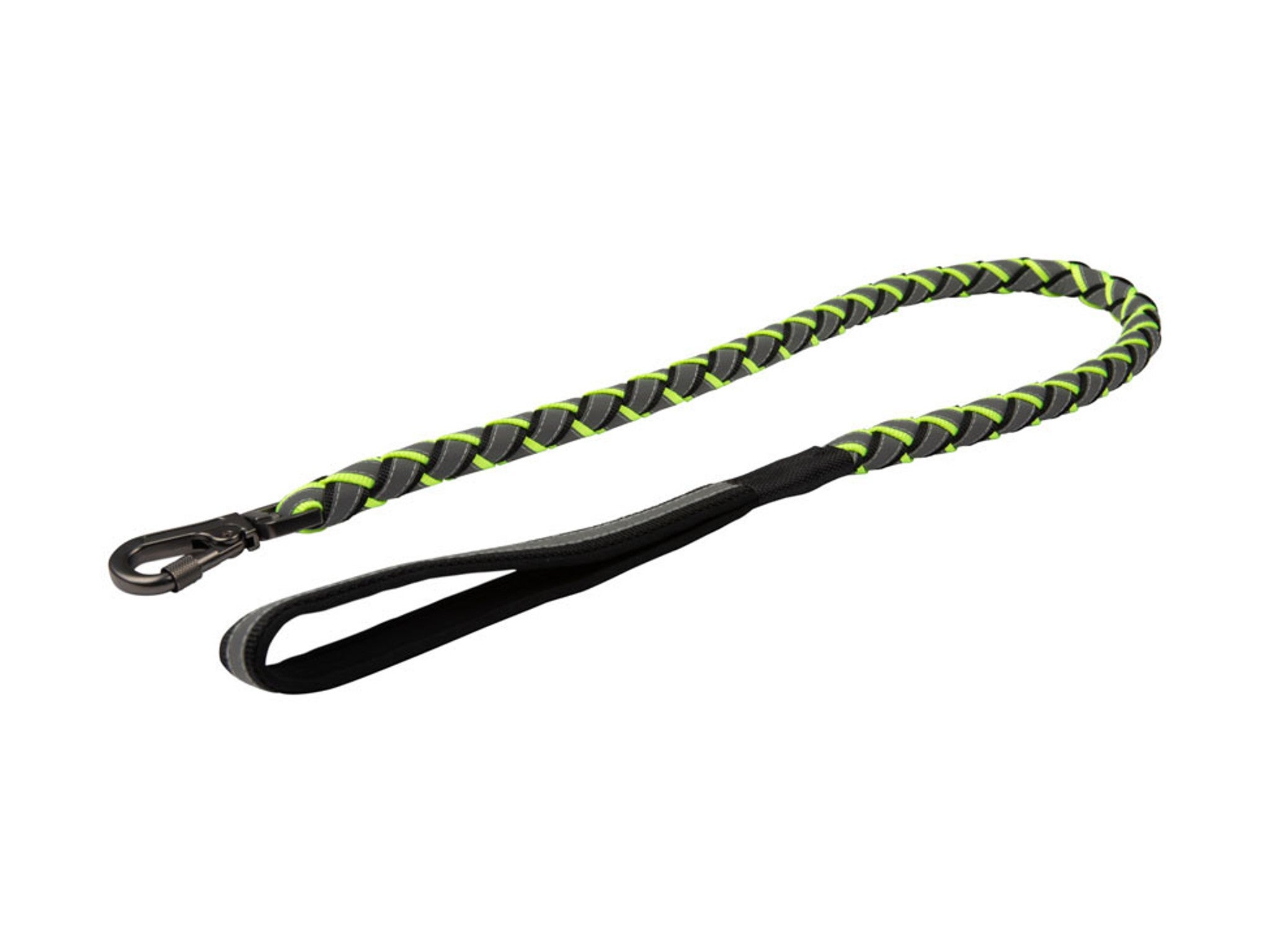 Best rope shop leash